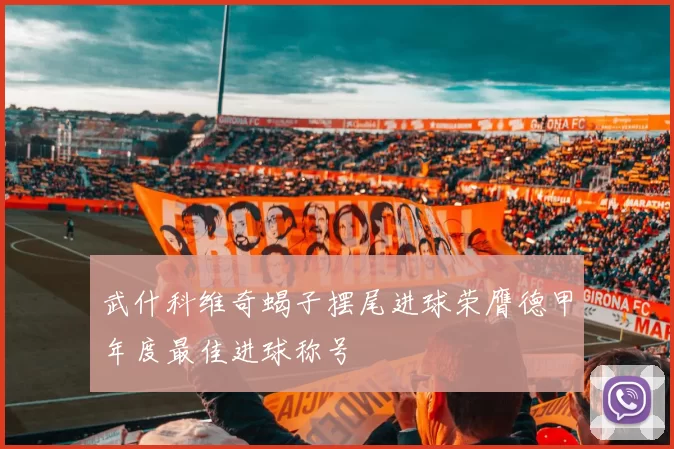 武什科维奇蝎子摆尾进球荣膺德甲年度最佳进球称号