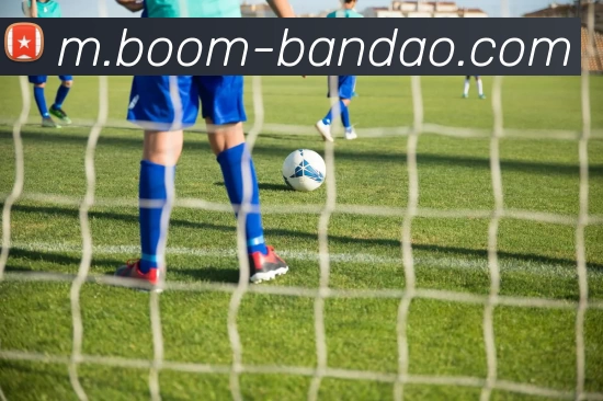 半岛体育APP 封面图